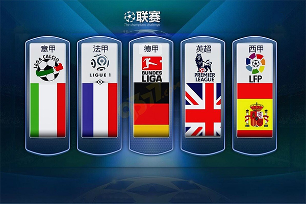 在杨鼎新与