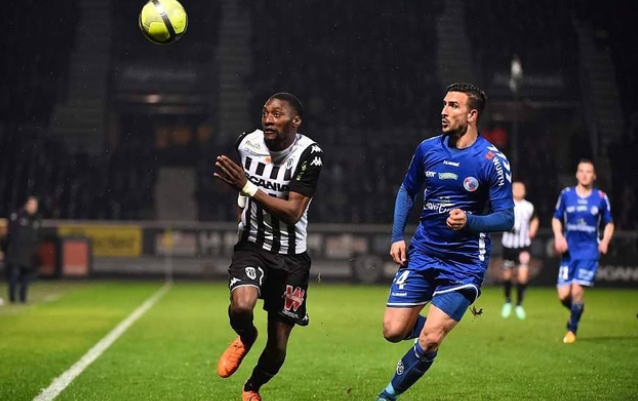 他们将收获 他们将收获